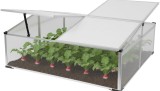 Mini sera de gradina Strend Pro din policarbonat, 100x100x40 cm