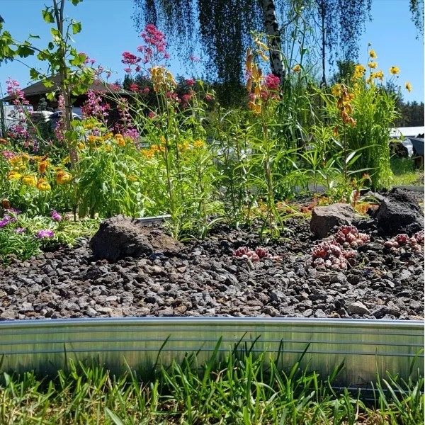 5er Set Ultra Starke Alu Rasenkanten 14cm x 2m (10m lang) | Beeteinfassung | Beetumrandung | Beetbegrenzungen, Color-GS: ohne Farbe