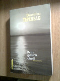 Dumitru Tepeneag - Prin gaura cheii - proza scurta (Editura Allfa, 2001)