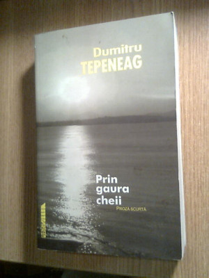 Dumitru Tepeneag - Prin gaura cheii - proza scurta (Editura Allfa, 2001) foto