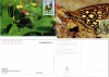 Fauna, Fluturi, Maxime