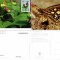 Fauna, Fluturi, Maxime