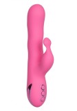 Vibrator Rabbit Santa Barbara California Dream