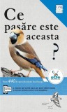 Ghid Pasari Europa 440 Specii, Detalii Romania, Societatea Ornitologica Romana, Ilustrat, Brosat