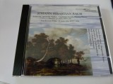 Tripelkonz. d -dur - J.S.Bach - H.Rilling, CD