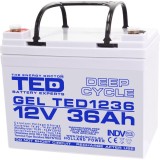 Acumulator plumb acid TED Electric A0058590, 12 V, 36000 mAh