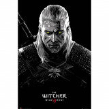 Poster - The Witcher, Wild Hunt: Toxicity Poisoning | GB Eye