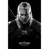 Poster - The Witcher, Wild Hunt: Toxicity Poisoning | GB Eye