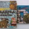 CARTEA COMORILOR - MIHAI GHEORGHE ANDRIES + COMORILE INCASILOR - PATRICK BRAUN