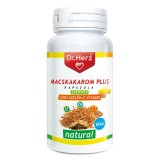 Capsule vegane cu extract de gheara pisicii, zinc organic, seleniu si vitamina C Dr Herz 60 buc