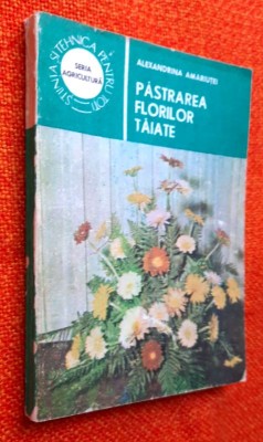 Pastrarea florilor taiate - Alexandrina Amariutei foto