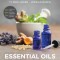 Essential Oils: Ancient Medicine