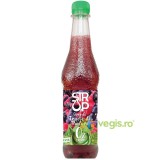 Sirop de Fructe de Padure cu Stevia fara Zahar Adaugat 500ml