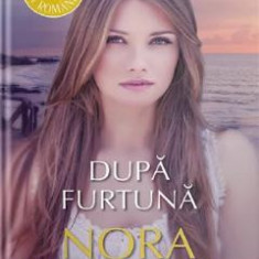 Dupa furtuna - Nora Roberts