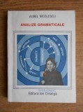 Aurel Nicolescu - Analize gramaticale