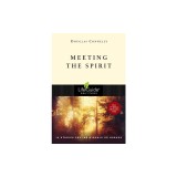 Meeting the Spirit