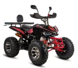 ATV XTR Pro Raptor 015, roti 10 inch, 250cc, 4+1 viteze, culoare negru/rosu Cod Produs: MX_NEW XTR-015/10PRO414