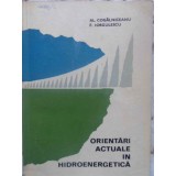 ORIENTARI ACTUALE IN HIDROENERGETICA-AL. COGALNICEANU, F. IORGULESCU-231094