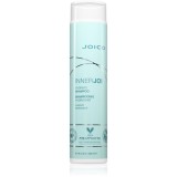 Joico InnerJoi Hydrate Shampoo sampon natural cu efect de hidratare 300 ml