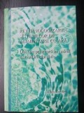Retehnologizarea sistemelor de alimentare cu apa- Gilda Gavrilas