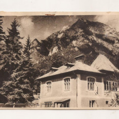 RF32 -Carte Postala- Busteni, vedere spre Caraiman, circulata 1958