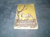 Cumpara ieftin MIHAI TICAN RUMANO - MONSTRII APELOR