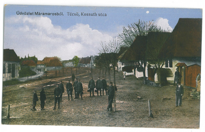 3713 - MARAMURES, Market, Romania - old postcard - unused