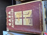 Casa amintirilor vintage