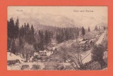 AMS @ - ILUSTRATA SINAIA - BLICK NACH FURNICA CIRCULATA 1923