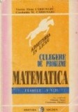 Culegere de probleme - Matematica, Clasele V-VIII (Carbunaru)