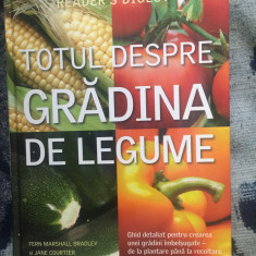 n4 TOTUL DESPRE GRADINA DE LEGUME - Reader's Digest