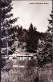 AMS - ILUSTRATA 931 VEDERE DIN POIANA BRASOV, 1962, CIRCULATA