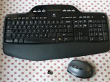 Kit tastatura + mouse Logitech Wireless Desktop MK710. foto