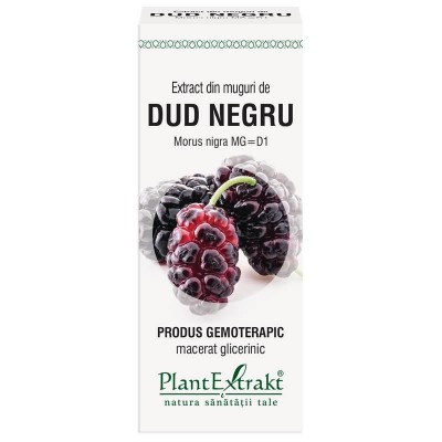 Extract Muguri Dud Negru 50ml PlantExtrakt foto