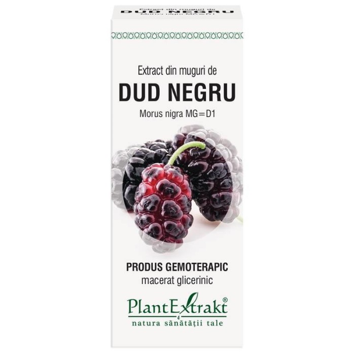 Extract Muguri Dud Negru 50ml PlantExtrakt