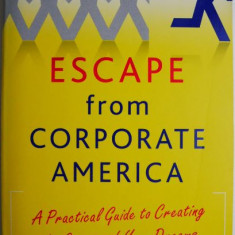 Escape from Corporate America. A Practical Guide to Creating the Career of Your Dreams – Pamela Skillings