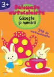 Balonașe autocolante. Găsește și numără (3+) - Paperback - Litera mică