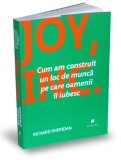 JOY. Cum am construit un loc de munca - Publica
