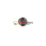 04. Piulita M6 CF Moto 500
