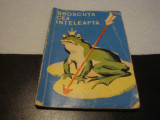 Broscuta cea inteleapta - basme populare rusesti - Traista cu povesti - 1962, Alta editura, Emil Garleanu