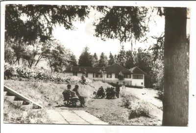 @carte postala(ilustrata)-BAZNA-vedere foto