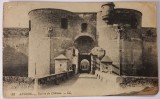 Carte Postala , Angers ( Entree de Chateau )