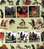 REPUBLiCA CONGO-PASARI,FELINE, ELEFANTI-1 COALA MICA- NEDANTELATA- MNH**-RDC 031