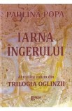 Carte Iarna ingerului Trilogia Oglinzii Vol. 3 - Paulina Popa