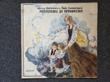 PRICHINDEL SI MARUNTICA - Stefanescu, Costachescu (DISC VINIL)