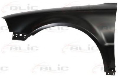 Aripa fata VW PASSAT Variant (3B6) (2000 - 2005) BLIC 6504-04-9539315P foto