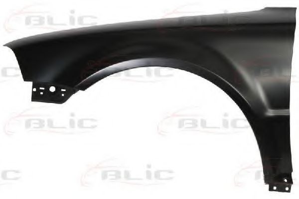 Aripa fata VW PASSAT Variant (3B6) (2000 - 2005) BLIC 6504-04-9539315P