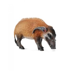 Porc Rosu Collecta