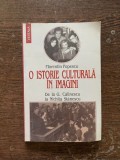 Florentin Popescu - O istorie culturala in imagini