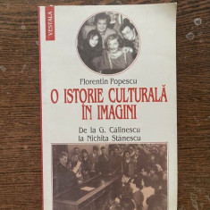 Florentin Popescu - O istorie culturala in imagini